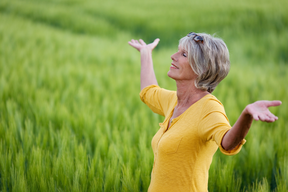 wellness programs